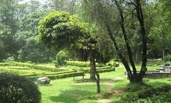 आन्तरिक पर्यटकको रोजाइ कुलपानी हरित पार्क