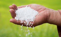 मल कालोबजारी गर्ने पसलमा प्रशासनको छापा, पसलमा सिलबन्दी