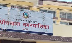 लगानी सम्मेलन गर्दै पाँचखाल