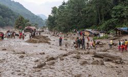 रसुवा बाढी : बीमा दावी ९८ करोड ५९ लाख
