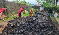 फोहाेरबाट मल उत्पादन गर्दै मध्यविन्दु