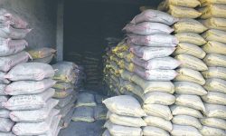 गत आवमा ७८ करोडको सिमेन्ट निर्यात