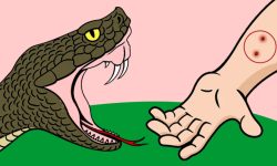 सर्पदंश : विश्वमा वार्षिक डेढ लाख मानिसले गुमाउँछन् ज्यान, बर्खा लागेसँगै नेपालमा बढे बिरामी