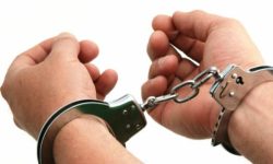 आतङ्कवादी आक्रमणको योजना बनाएको आरोपमा सात जना पक्राउ