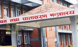 वन मन्त्रालयका आठ सहसचिवको सरुवा