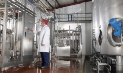 चितवन मिल्क तङ्ग्रिँदै : दैनिक एक लाख लिटर दूध प्रशोधन