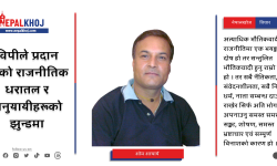 विपीले प्रदान गरेको राजनीतिक धरातल र अनुयायीहरूको झुन्डमा