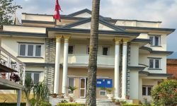 डब्लुएफपीको नक्कली कार्यालय खडा गरेर ठगी, टेण्डर खोलेर पैसा नदिएपछि समातियो गिरोह