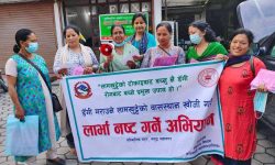 ‘लार्भा खोज र नष्ट गर’ अभियानमा जुट्यो महानगर