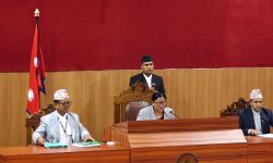 ‘प्रदेशसभा नियमावली संशोधन समिति गठन’ प्रस्ताव पारित