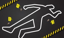 पूर्वकर्मचारीद्वारा सिईओ र एमडीको हत्या