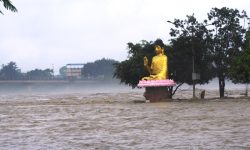 कोशी र तिनाउ नदीमा पानीको बहाव खतरा तहमा