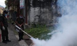 चितवनमा डेङ्गुबाट बच्न ‘लार्भा खोज र नष्ट गर’ अभियान