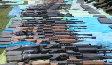 आठ हजार ८९६ थान हातहतियार नष्ट