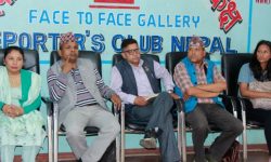 दोषीमाथि हदैसम्मको कारबाहीको माग