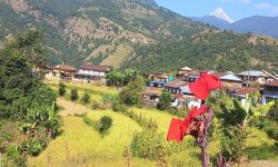 महानगरबासीलाई वडा कार्यालय पुग्नै सास्ती