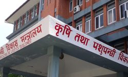 अनुदानले उद्यमी बन्दै किसान