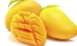 जान्नुहोस आँपका औषधीय गुण