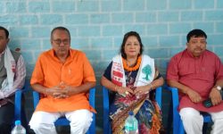 नक्कली भुटानी शरणार्थी प्रकरणमा ममाथि मिडिया ट्रायल गरियो : डा. राणा