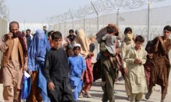 तेईस अफगानीको आप्रवासी तस्करबाट उद्धार