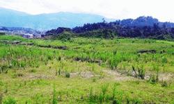 घट्दो खेती-किसानी चिन्ताको विषय