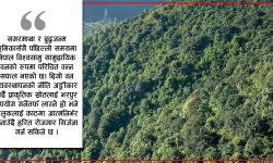 अझै हुन सकेन ‘हरियो वन, नेपालको धन’