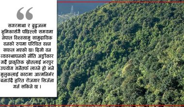अझै हुन सकेन ‘हरियो वन, नेपालको धन’