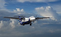 बुद्ध एयरको जहाजमा चरा ठोक्कियो