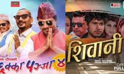 ‘छक्कापञ्जा–४’ ले १८ करोड कमाउदा ‘शिवानी’को ५२० रुपैयाँ