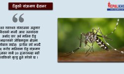 दुई दशकमा डेंगुका ८३ हजार संक्रमित, ११० को मृत्यु
