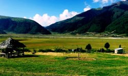 ढोरपाटन पुग्नै सकस