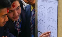 एसईई : गणितमा धेरैजसोको कम नम्बर किन आयो ?