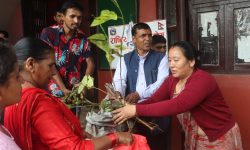 किसानलाई घाँसका बिरुवा वितरण