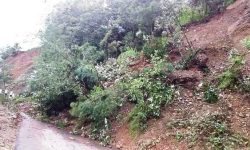 हिराले गोरुसिङ्गे सन्धिखर्क सडक अवरुद्ध