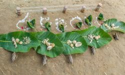 धान सप्रियोस् भनेर ‘हरेरी पूजा’