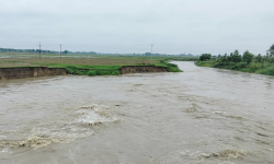 महाकाली नदीको कटान रोक्न अस्थायी तटबन्ध