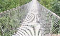 झोलुङगे पुलका सामान सुरक्षित स्थानमा राखिँदै