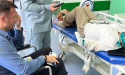 रुसी पत्रकारमाथि चेचन्यामा साङ्घातिक आक्रमण