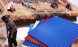 खरको छानो फाल्दै जस्ता