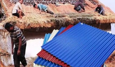 खरको छानो फाल्दै जस्ता