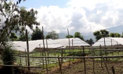 कृषि व्यवसायमा मोह बढाउँदै भोजपुरका युवा