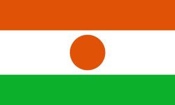 नाइजरमा सैन्य विद्रोह, संविधान निलम्बनको घोषणा