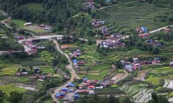 कङ्क्रिटका घरले भरिन थाल्यो खहरे गाउँ