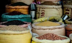 खराब खाद्य सामग्रीबाट कसरी जोगिने ?