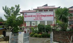 कोशीका मुख्यमन्त्रीको नियुक्तिविरुद्ध एमाले र राप्रपाको असन्तुष्टि, सर्वोच्च जादै