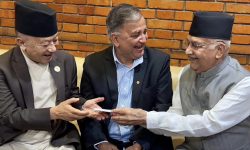 एमाले कार्यवाहक अध्यक्षको जिम्मेवारी पोखरेललाई