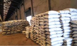 गोदाममै थन्कियो ७१ मेट्रिक टन मल