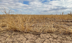 तनहुँमा २६ हजार भूमिहीनको लगत सङ्कलन