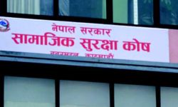 वृद्धावस्था सुरक्षा योजनाका योगदानकर्तालाई ७.५ प्रतिशत व्याज