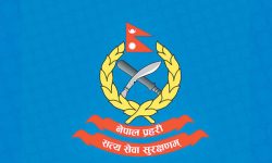 चार दिनमा दुई सय ८६ जना नेपाल प्रहरी कर्मचारीहरूको बढुवा सिफारिस
